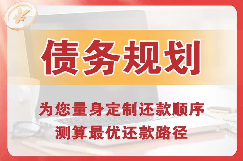 丰城债务规划